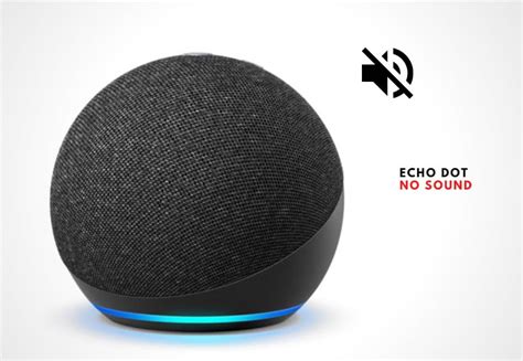 echo dot keeps stopping music